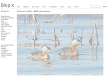 Tablet Screenshot of biopix.com