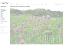 Tablet Screenshot of biopix.net